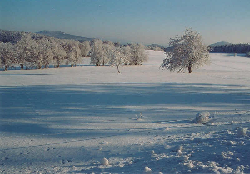 image_9